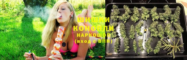 spice Алексеевка