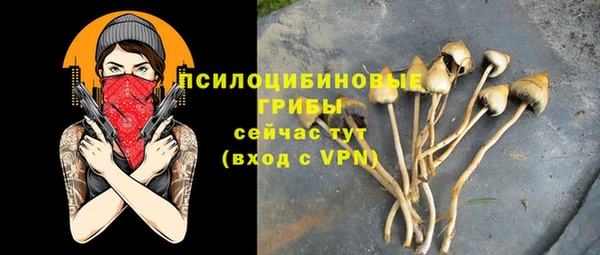 прущий лед Алзамай