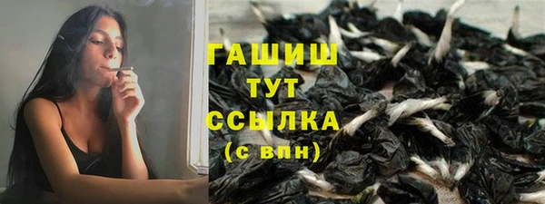 прущий лед Алзамай