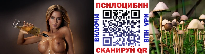 Галлюциногенные грибы мухоморы  блэк спрут вход  Кола  купить  сайты 